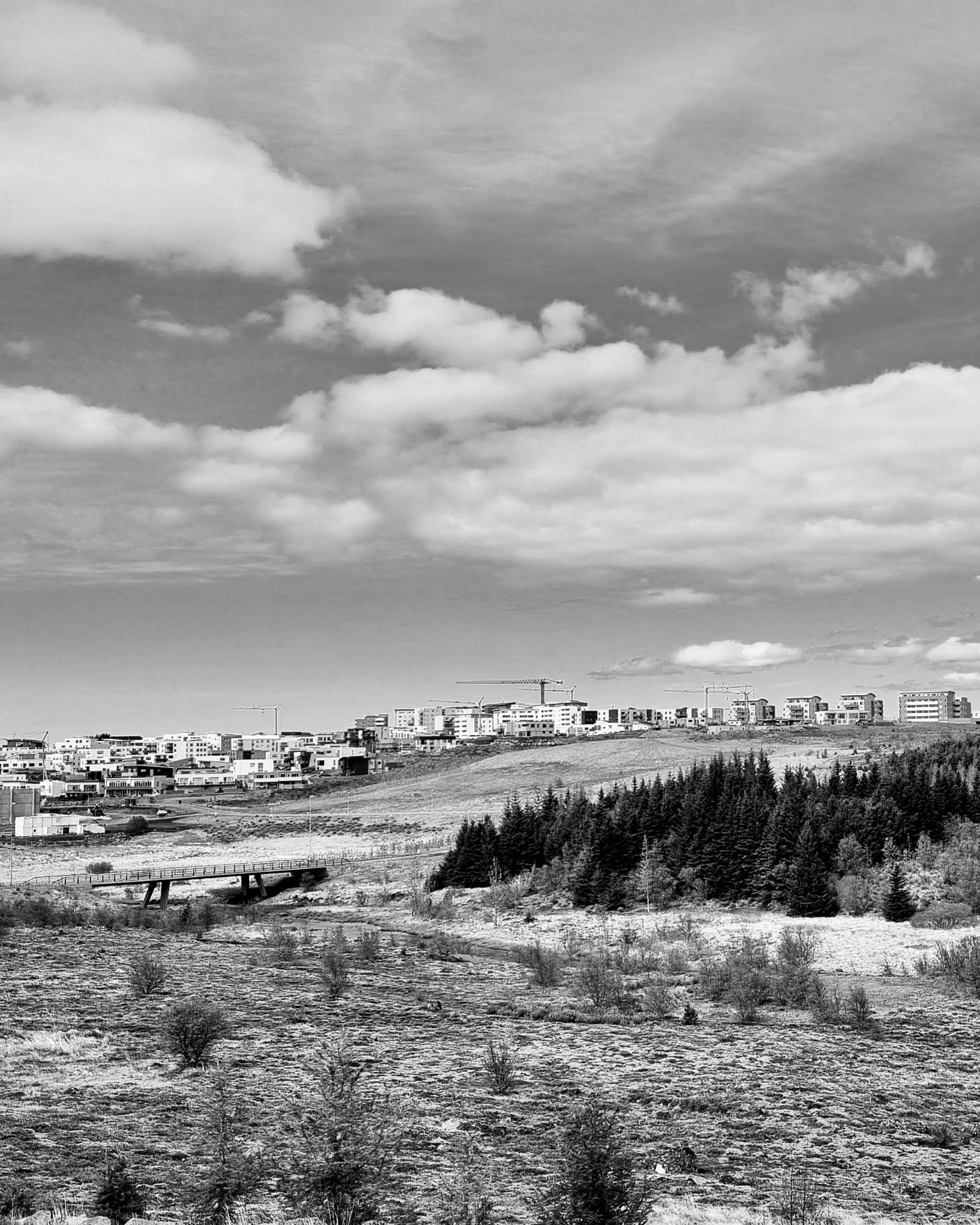 Mosfellsbær town, as seen from the brush.
